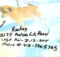 Lost Rockey on Hudson Lake Rd